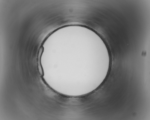 X0000111781181200909031126