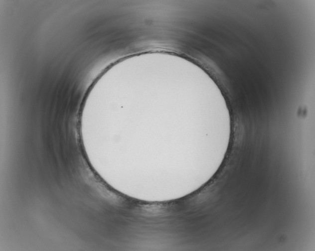 X0000111781182200909031126