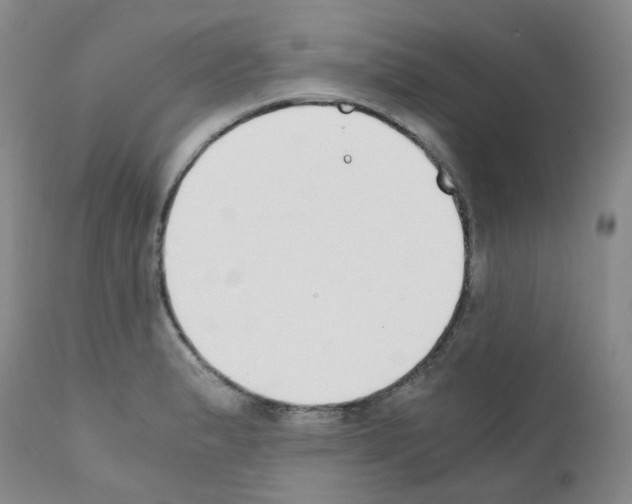 X0000111781183200909031126