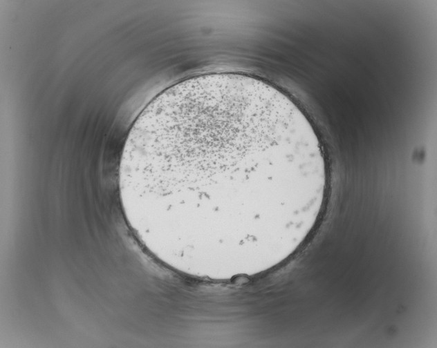 X0000111781185200909031126