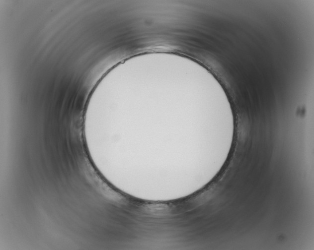 X0000111781186200909031126