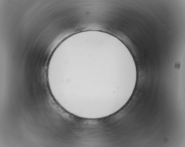 X0000111781190200909031126