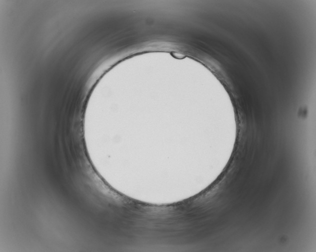 X0000111781192200909031126