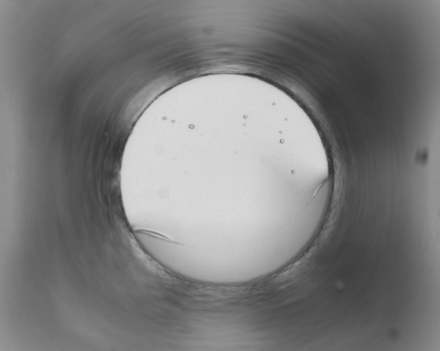 X0000111781193200909031126