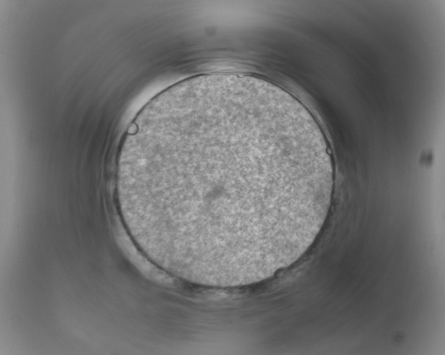 X0000111781195200909031126