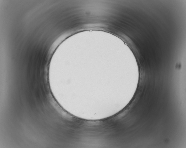 X0000111781196200909031126