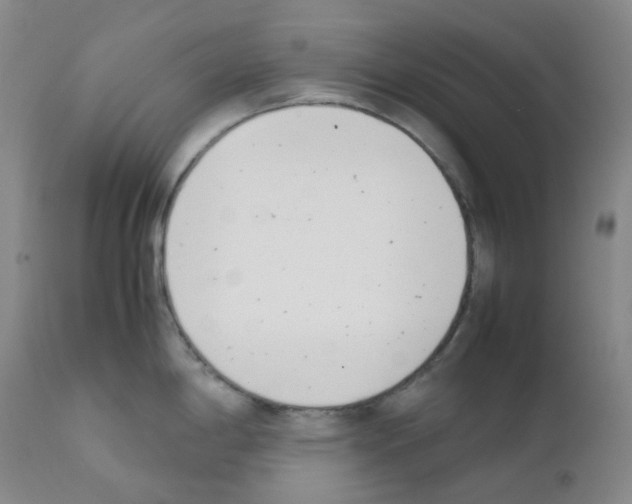 X0000111781198200909031126
