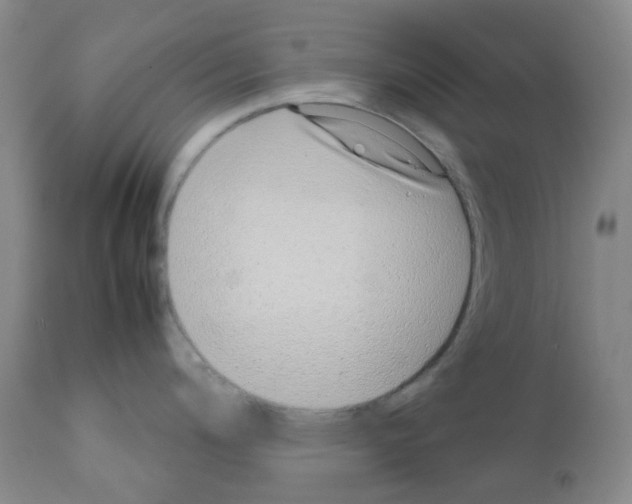 X0000111781200200909031125