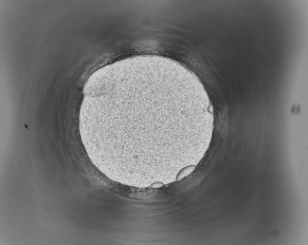 X0000111781201200909031125