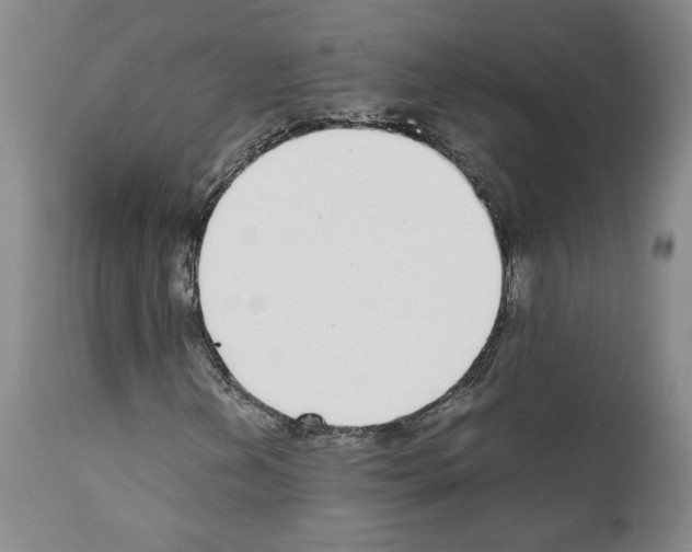 X0000111781202200909031125