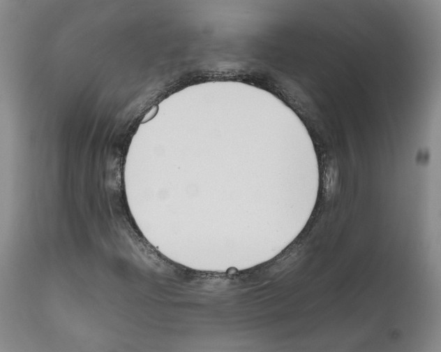 X0000111781204200909031125