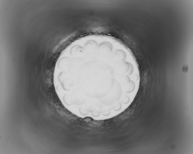 X0000111781205200909031125