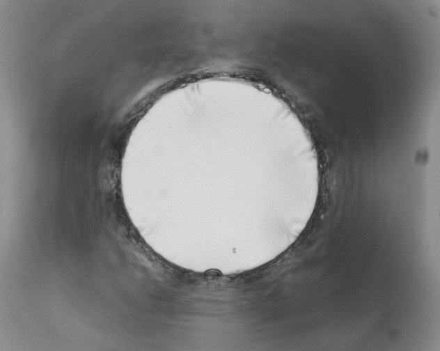 X0000111781206200909031125