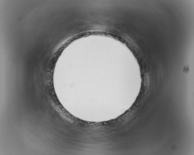 X0000111781208200909031125