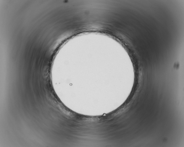 X0000111781210200909031125