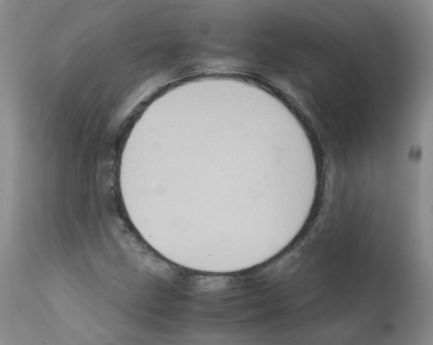 X0000111781211200909031125