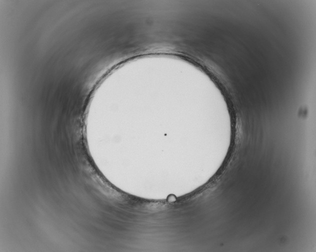 X0000111781212200909031125