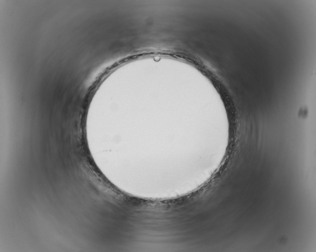 X0000111781214200909031125