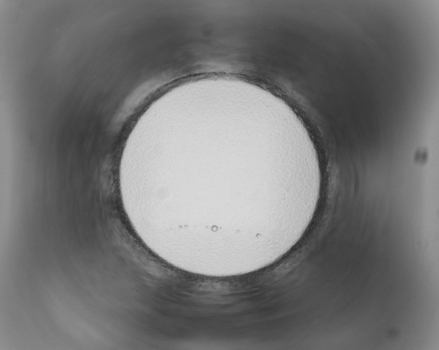 X0000111781215200909031125