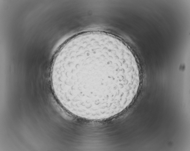 X0000111781216200909031125
