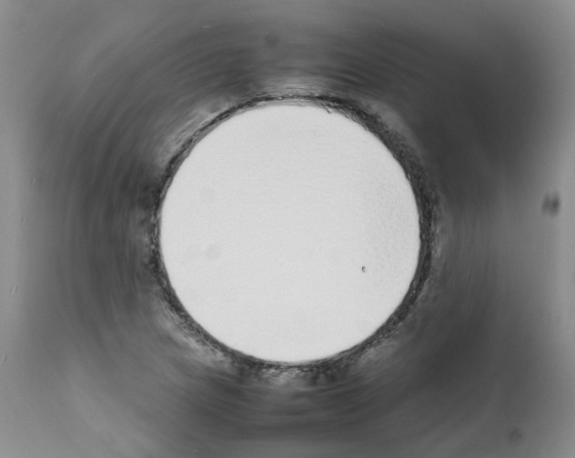X0000111781217200909031125