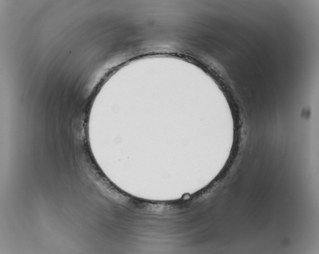 X0000111781218200909031125