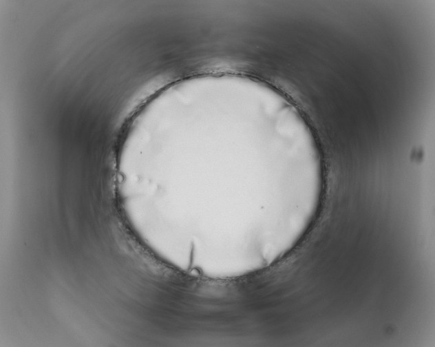 X0000111781219200909031125