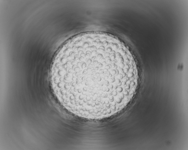 X0000111781220200909031125