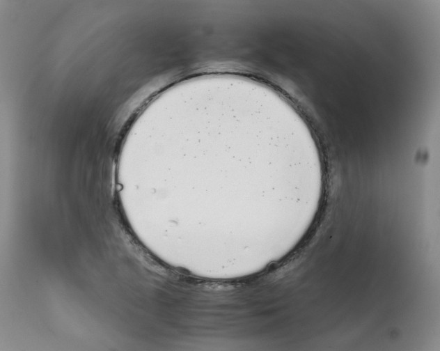 X0000111781221200909031125