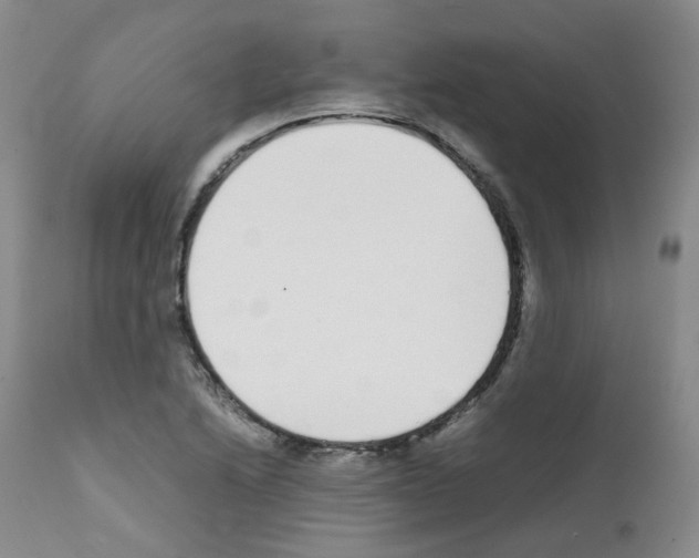 X0000111781222200909031125