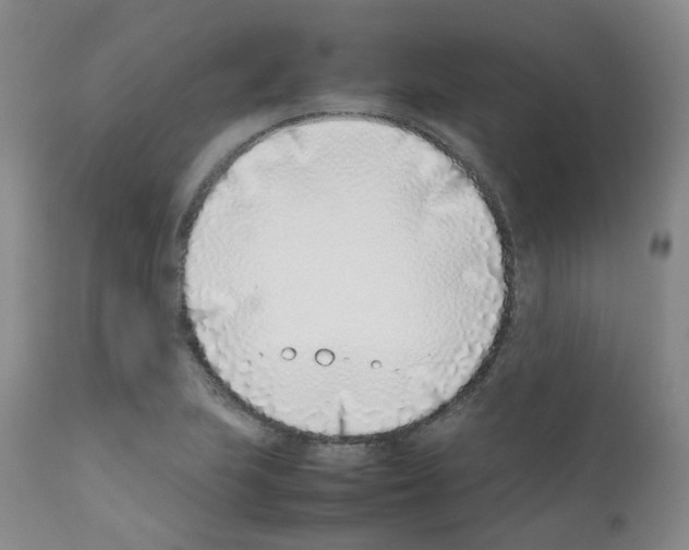 X0000111781223200909031125