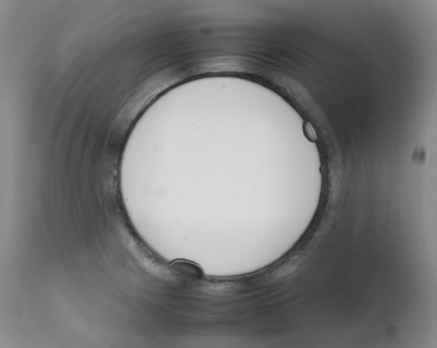 X0000111781225200909031125