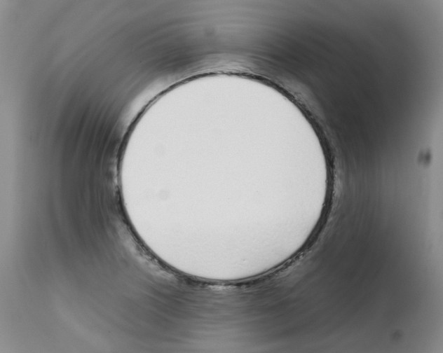 X0000111781226200909031125