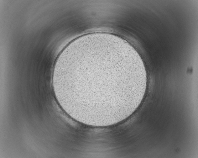 X0000111781228200909031125