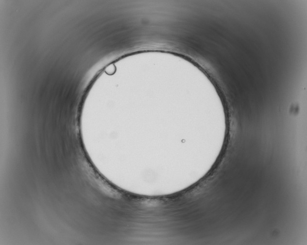X0000111781230200909031125