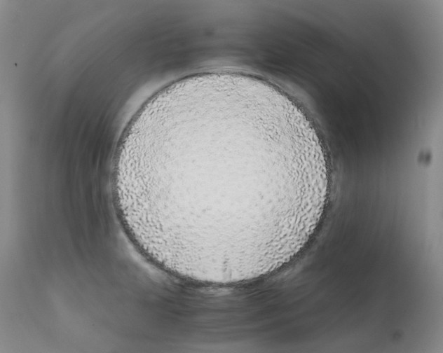 X0000111781231200909031125