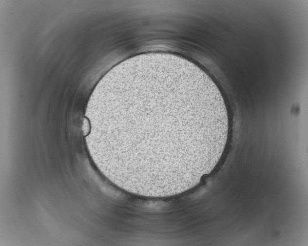 X0000111781233200909031125