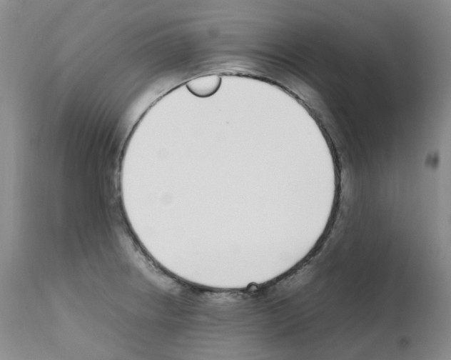 X0000111781234200909031125