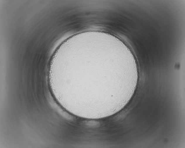 X0000111781235200909031125