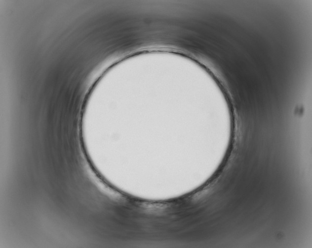X0000111781237200909031125