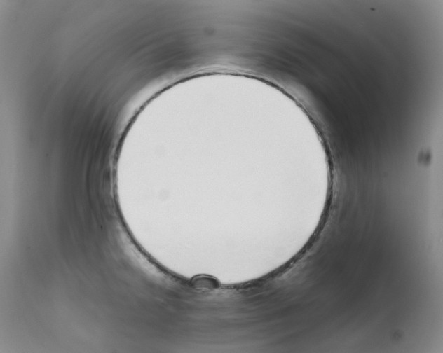 X0000111781238200909031125