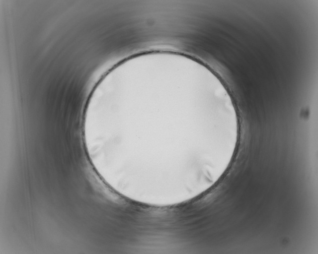 X0000111781240200909031125