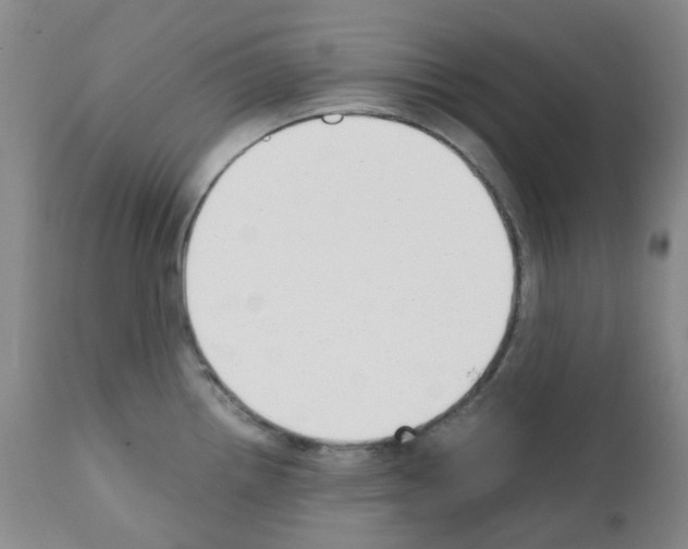 X0000111781242200909031125