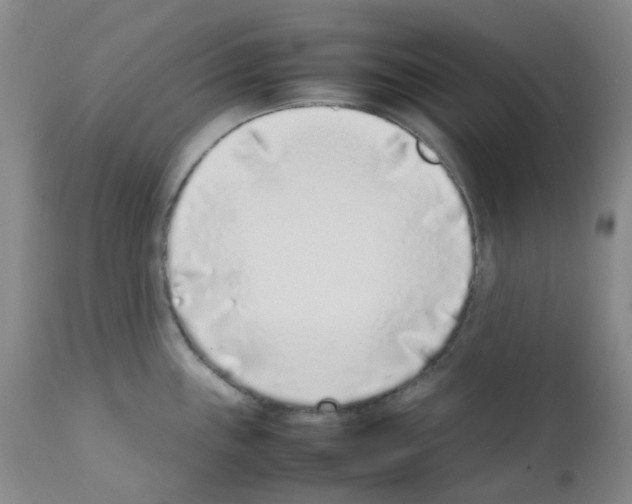 X0000111781243200909031125