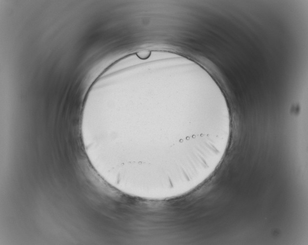 X0000111781244200909031125
