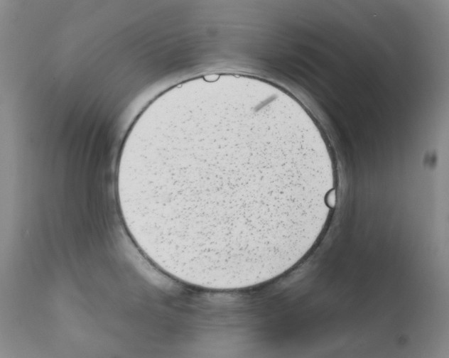 X0000111781246200909031125