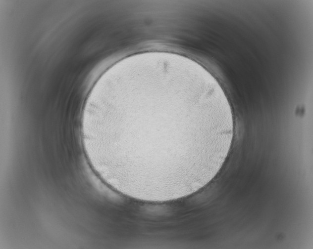 X0000111781247200909031125
