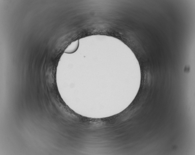 X0000111781250200909031125