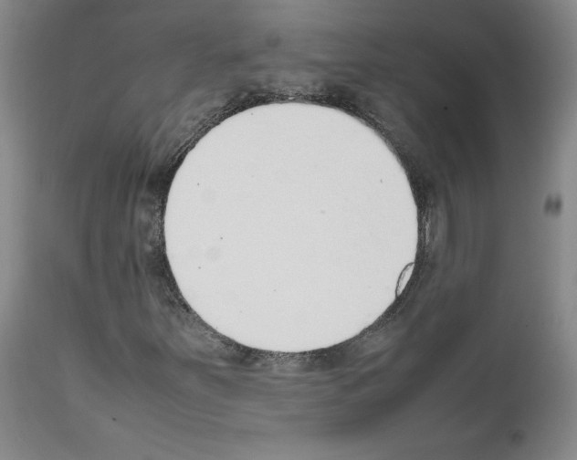 X0000111781251200909031125