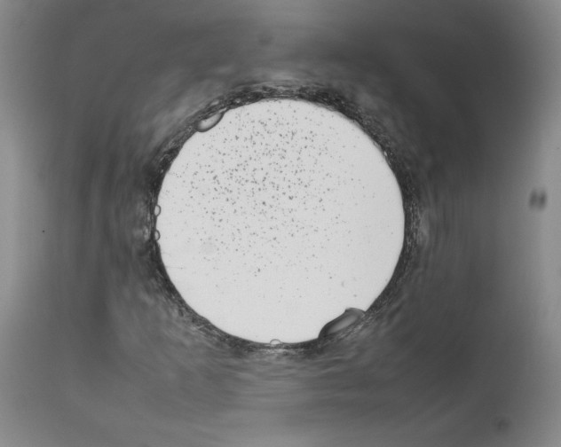 X0000111781253200909031125